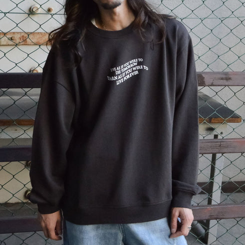 【MODISH GAZE】裏毛 クルーネック 長袖 BIG スウェット ローズ