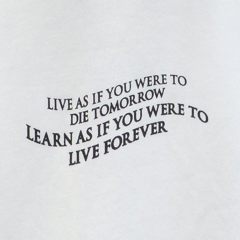 【MODISH GAZE】裏毛 クルーネック 長袖 BIG スウェット ローズ