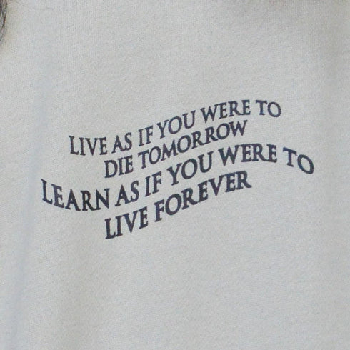 【MODISH GAZE】裏毛 クルーネック 長袖 BIG スウェット ローズ