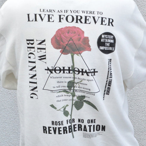 【MODISH GAZE】裏毛 クルーネック 長袖 BIG スウェット ローズ