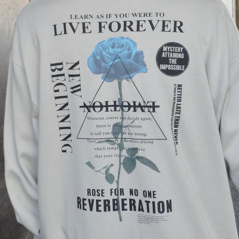 【MODISH GAZE】裏毛 クルーネック 長袖 BIG スウェット ローズ