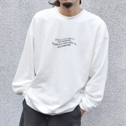 【MODISH GAZE】裏毛 クルーネック 長袖 BIG スウェット ローズ