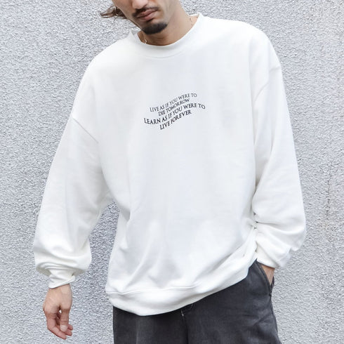 【MODISH GAZE】裏毛 クルーネック 長袖 BIG スウェット ローズ