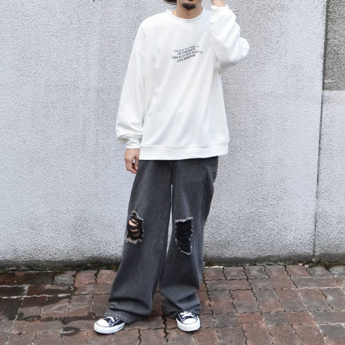 【MODISH GAZE】裏毛 クルーネック 長袖 BIG スウェット ローズ