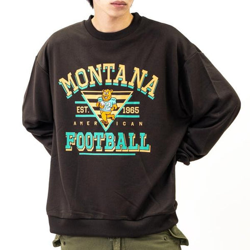 【MODISH GAZE】裏毛 クルーネック 長袖 BIG スウェット カレッジ マスコット