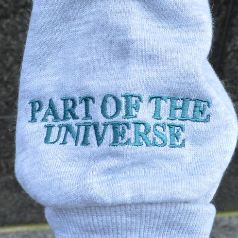 【MODISH GAZE】裏毛 長袖 BIG プルパーカー EARTH